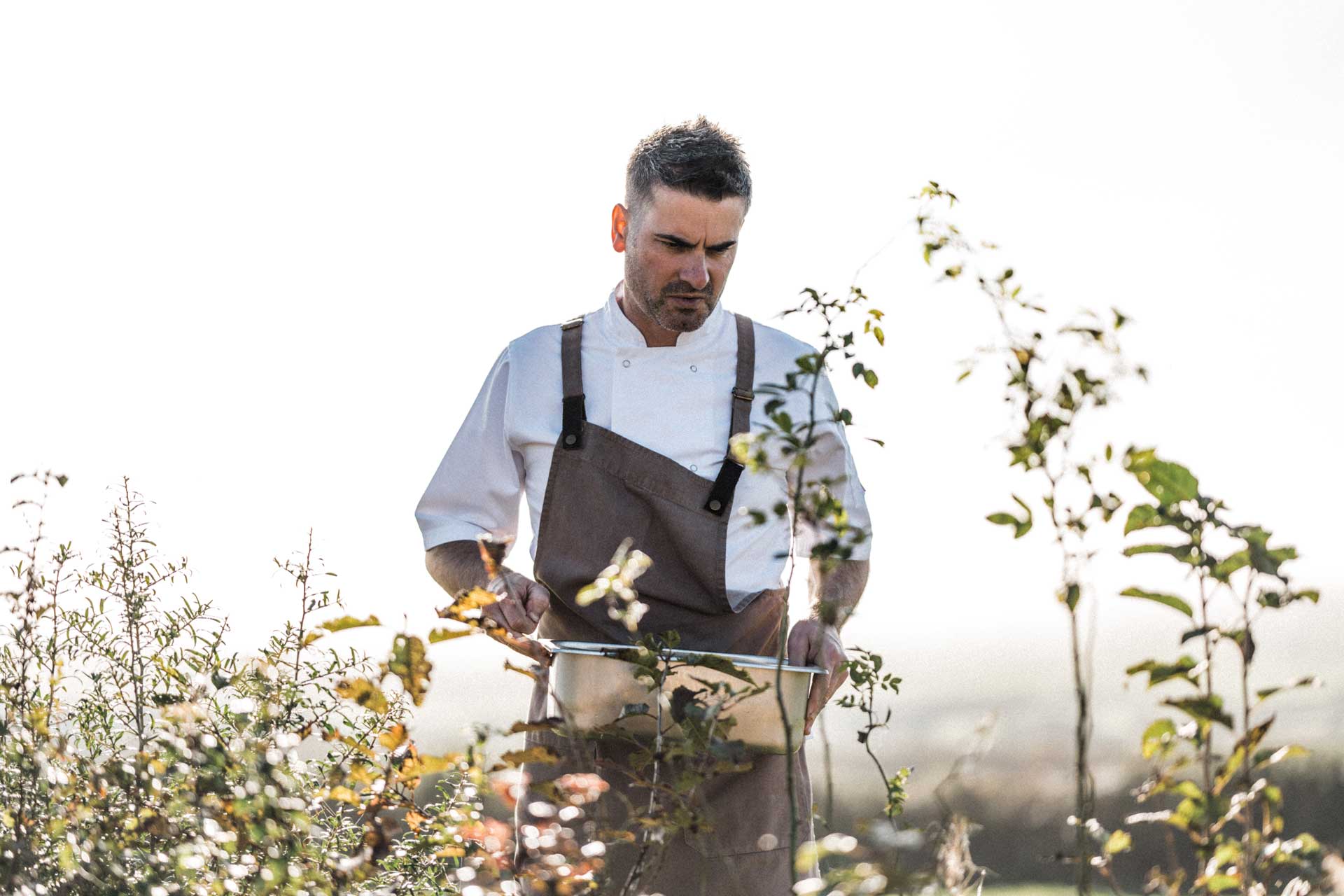 Woolsery Collective executive chef Ian Webber picking produce at Birch Farm