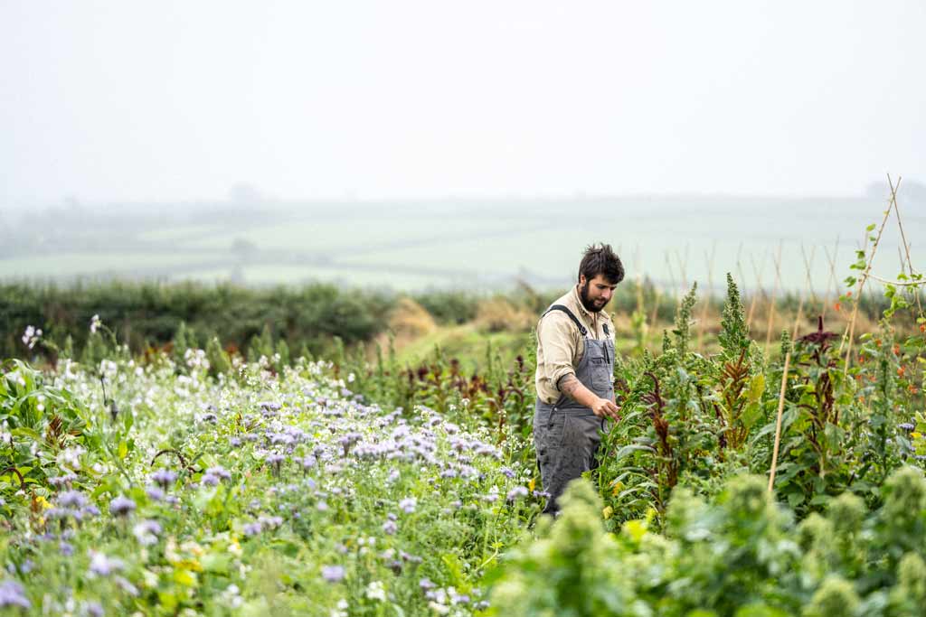 Soil Health is at the Heart of Life at Birch Farm in Woolsery