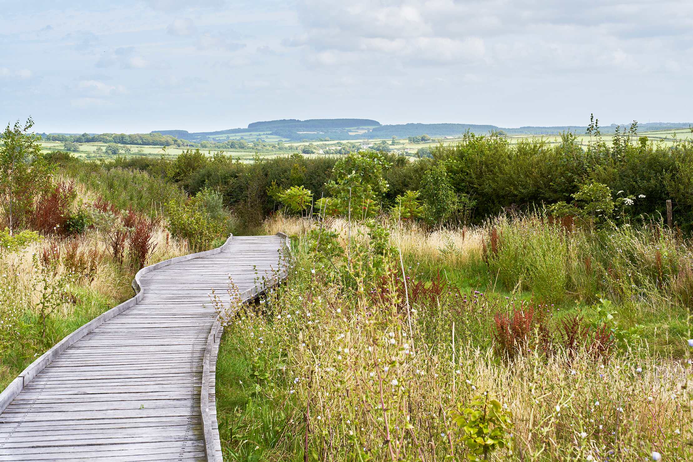 July Birch Farm Tour With Head Gardener Joshua Sparkes