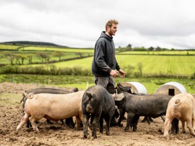 Livestock Manager Chris Jenn tending to rare breed pigs
